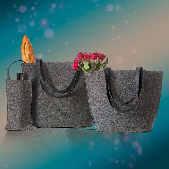 Sacosa / Geanta / Husa Hi Tech  Fetru