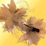 Clama mare de prins parul crem